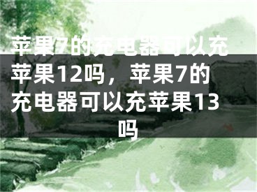 蘋果7的充電器可以充蘋果12嗎，蘋果7的充電器可以充蘋果13嗎