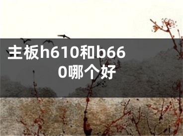 主板h610和b660哪個(gè)好