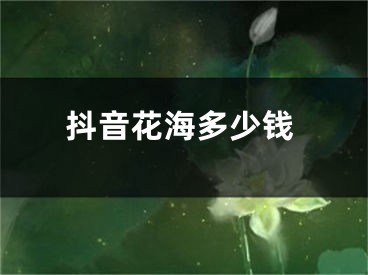 抖音花海多少錢