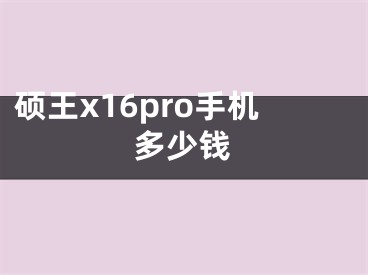 碩王x16pro手機多少錢