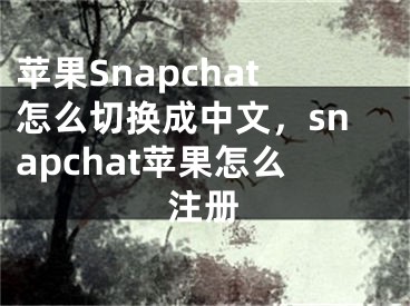 蘋果Snapchat怎么切換成中文，snapchat蘋果怎么注冊