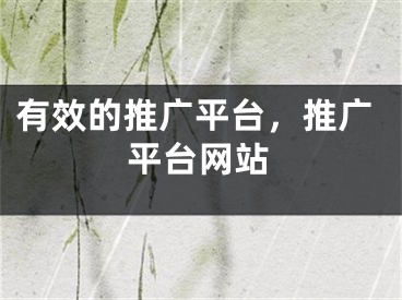 有效的推廣平臺(tái)，推廣平臺(tái)網(wǎng)站