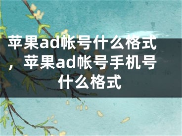 蘋果ad帳號什么格式，蘋果ad帳號手機號什么格式