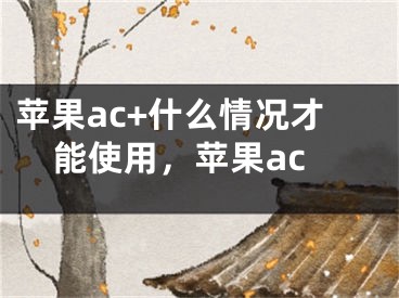 蘋果ac+什么情況才能使用，蘋果ac