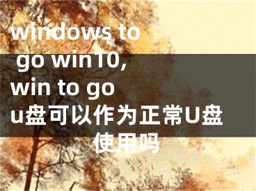 windows to go win10,win to go u盤可以作為正常U盤使用嗎