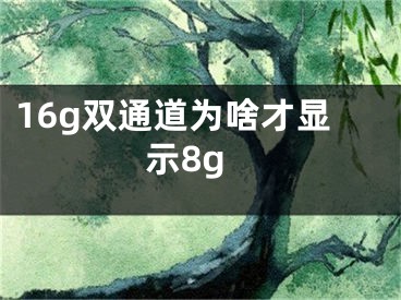 16g雙通道為啥才顯示8g