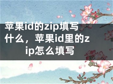 蘋(píng)果id的zip填寫(xiě)什么，蘋(píng)果id里的zip怎么填寫(xiě)