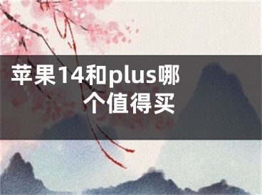 蘋果14和plus哪個(gè)值得買