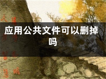 應(yīng)用公共文件可以刪掉嗎