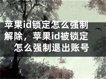 蘋(píng)果id鎖定怎么強(qiáng)制解除，蘋(píng)果id被鎖定怎么強(qiáng)制退出賬號(hào)