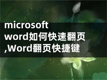 microsoft word如何快速翻頁,Word翻頁快捷鍵