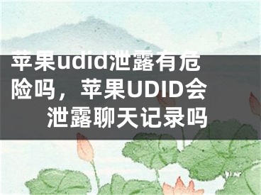 蘋果udid泄露有危險嗎，蘋果UDID會泄露聊天記錄嗎