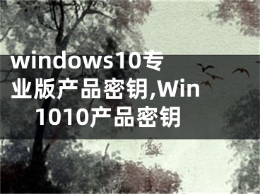 windows10專業(yè)版產(chǎn)品密鑰,Win1010產(chǎn)品密鑰