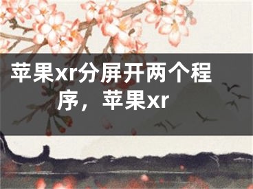 蘋果xr分屏開兩個程序，蘋果xr