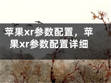 蘋果xr參數(shù)配置，蘋果xr參數(shù)配置詳細(xì)