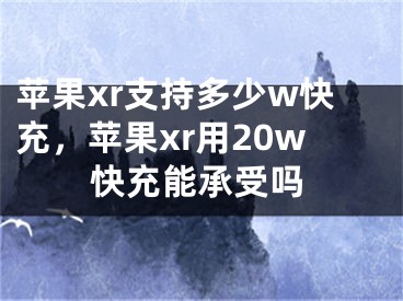 蘋(píng)果xr支持多少w快充，蘋(píng)果xr用20w快充能承受嗎