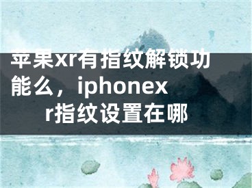 蘋果xr有指紋解鎖功能么，iphonexr指紋設(shè)置在哪