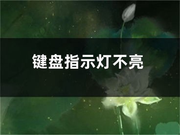 鍵盤指示燈不亮