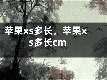 蘋(píng)果xs多長(zhǎng)，蘋(píng)果xs多長(zhǎng)cm