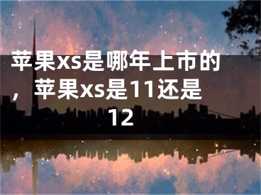 蘋果xs是哪年上市的，蘋果xs是11還是12