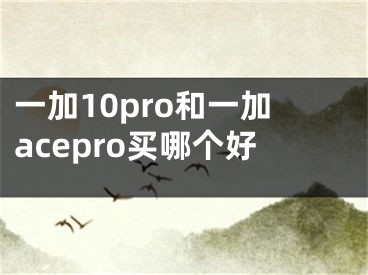 一加10pro和一加acepro買哪個好