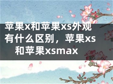 蘋果x和蘋果xs外觀有什么區(qū)別，蘋果xs和蘋果xsmax