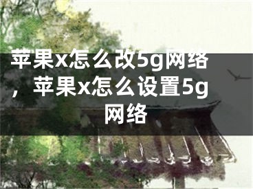 蘋果x怎么改5g網(wǎng)絡(luò)，蘋果x怎么設(shè)置5g網(wǎng)絡(luò)