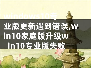 windows10專(zhuān)業(yè)版更新遇到錯(cuò)誤,win10家庭版升級(jí)win10專(zhuān)業(yè)版失敗