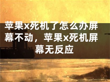 蘋果x死機了怎么辦屏幕不動，蘋果x死機屏幕無反應