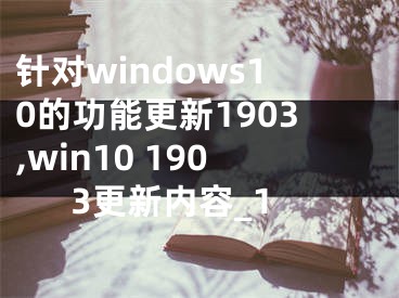 針對(duì)windows10的功能更新1903,win10 1903更新內(nèi)容_1