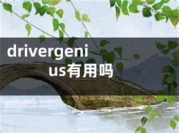 drivergenius有用嗎