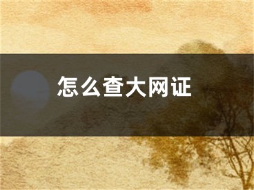 怎么查大網(wǎng)證