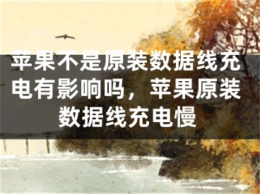 蘋果不是原裝數(shù)據(jù)線充電有影響嗎，蘋果原裝數(shù)據(jù)線充電慢