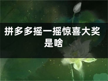 拼多多搖一搖驚喜大獎(jiǎng)是啥