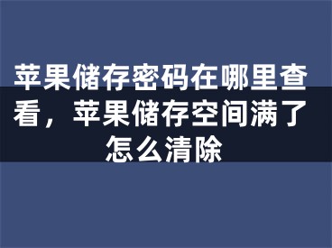 蘋果儲(chǔ)存密碼在哪里查看，蘋果儲(chǔ)存空間滿了怎么清除