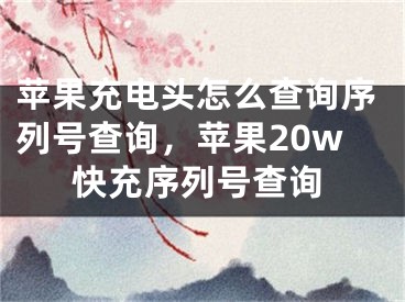 蘋果充電頭怎么查詢序列號查詢，蘋果20w快充序列號查詢