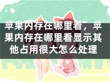 蘋果內(nèi)存在哪里看，蘋果內(nèi)存在哪里看顯示其他占用很大怎么處理