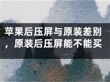 蘋果后壓屏與原裝差別，原裝后壓屏能不能買