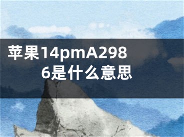 蘋果14pmA2986是什么意思