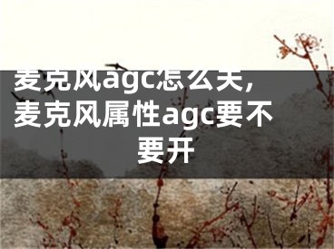 麥克風(fēng)agc怎么關(guān),麥克風(fēng)屬性agc要不要開