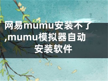 網(wǎng)易mumu安裝不了,mumu模擬器自動(dòng)安裝軟件