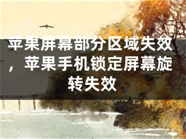 蘋果屏幕部分區(qū)域失效，蘋果手機鎖定屏幕旋轉失效