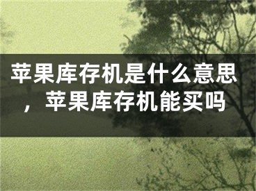 蘋(píng)果庫(kù)存機(jī)是什么意思，蘋(píng)果庫(kù)存機(jī)能買(mǎi)嗎