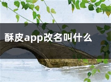 酥皮app改名叫什么