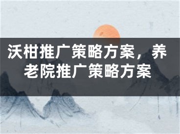 沃柑推廣策略方案，養(yǎng)老院推廣策略方案