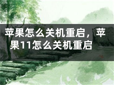 蘋果怎么關機重啟，蘋果11怎么關機重啟