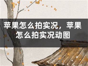 蘋果怎么拍實況，蘋果怎么拍實況動圖