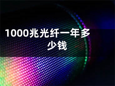 1000兆光纖一年多少錢