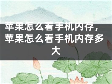 蘋(píng)果怎么看手機(jī)內(nèi)存，蘋(píng)果怎么看手機(jī)內(nèi)存多大