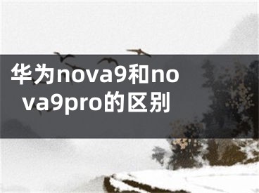 華為nova9和nova9pro的區(qū)別